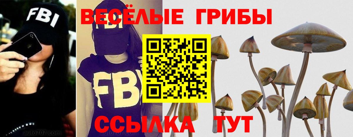 Красноуфимск  Псилоцибиновые грибы прущие грибы  Вход с VPN 